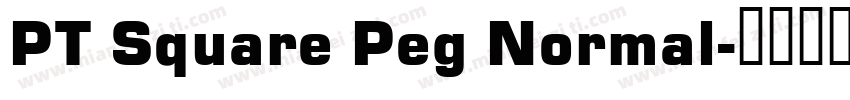 PT Square Peg Normal字体转换